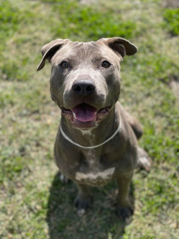 R259276 / Belle