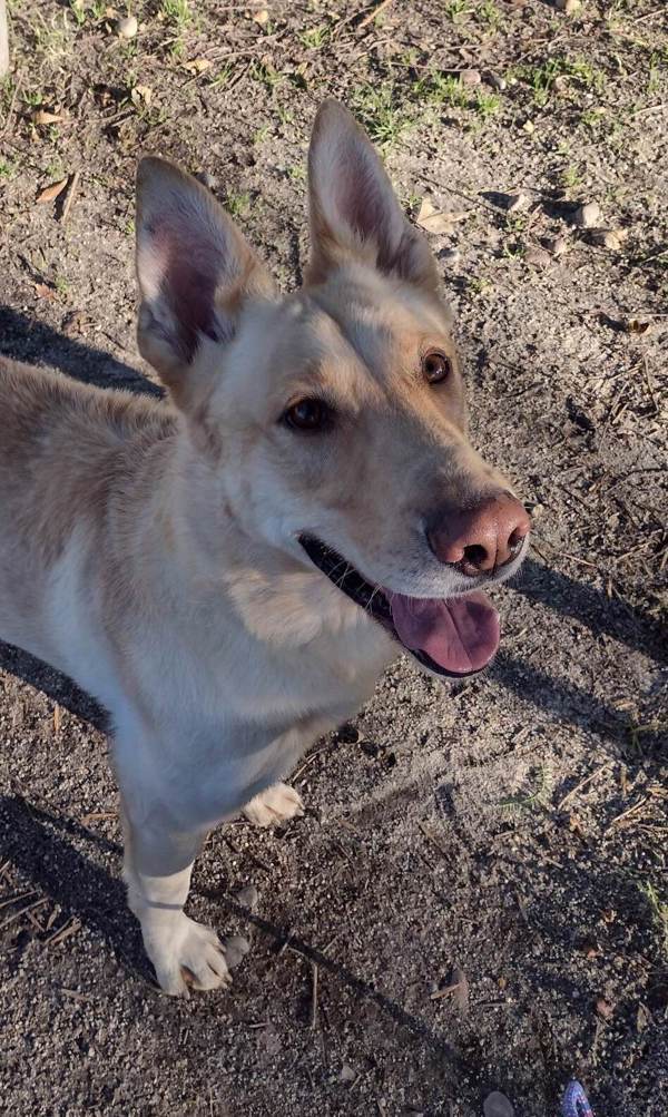 R260836/ Tom