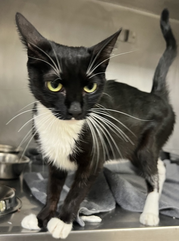 R260924/ Cindy Lou