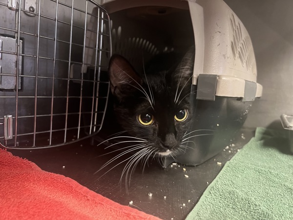 R260924/ Cindy Lou