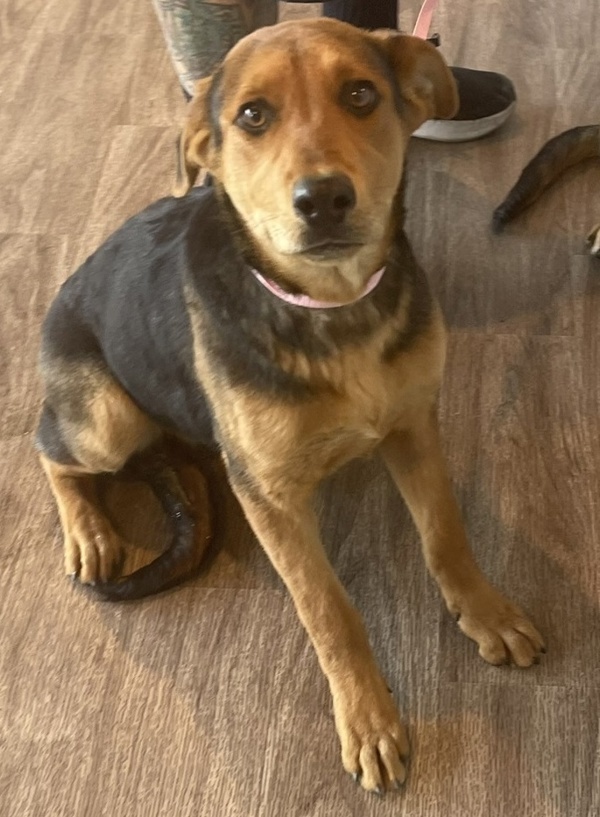 R260493/ Molly