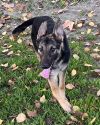 R260450/ Thelma photo 1
