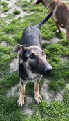 R260450/ Thelma photo 2
