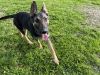 R260450/ Thelma photo 5