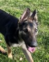 R260450/ Thelma photo 6
