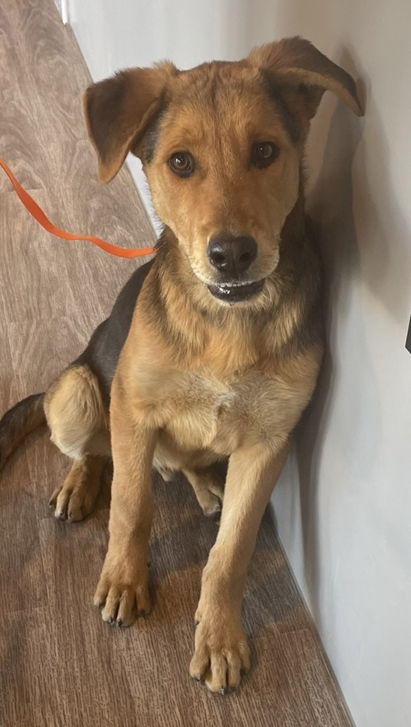 R260492/ Max