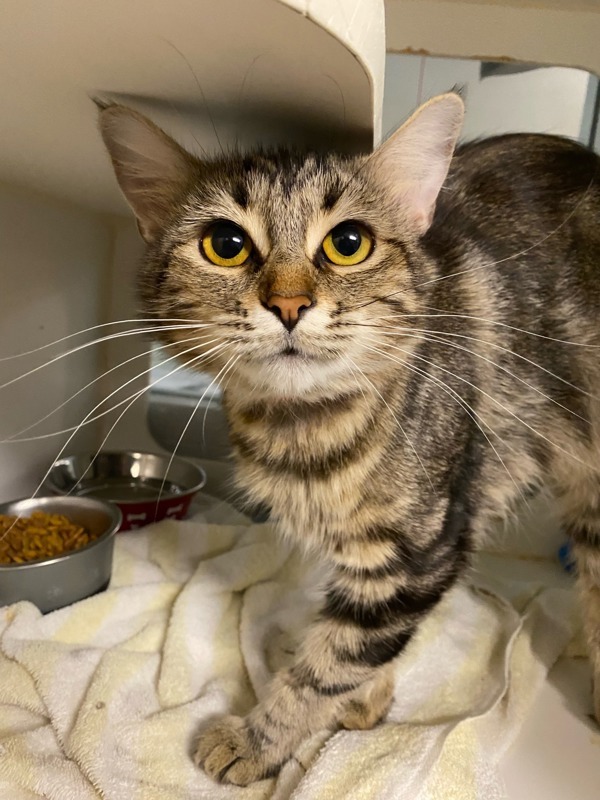 R260854/ Ms.Honey