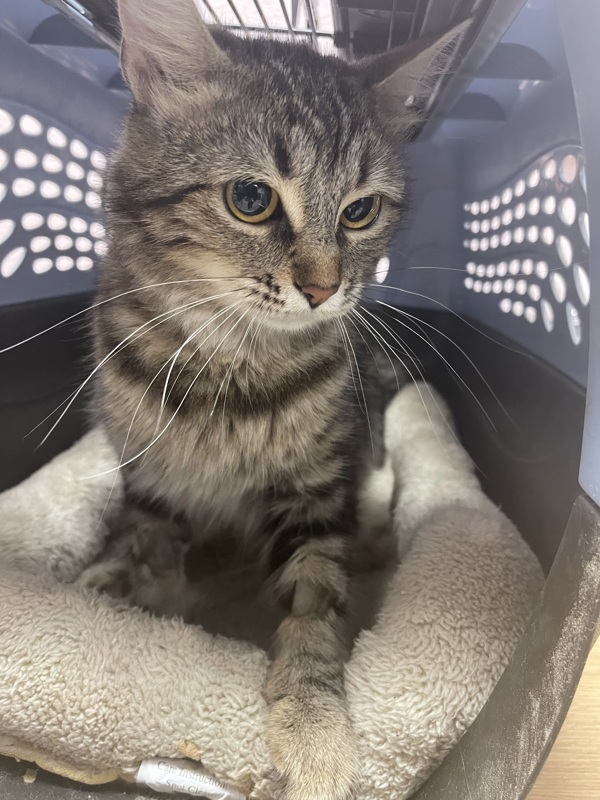 R260854/ Ms.Honey