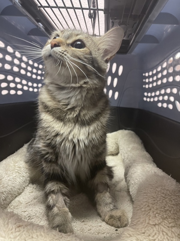 R260854/ Ms.Honey