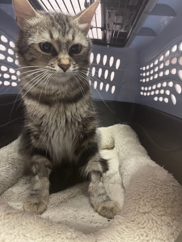 R260854/ Ms.Honey