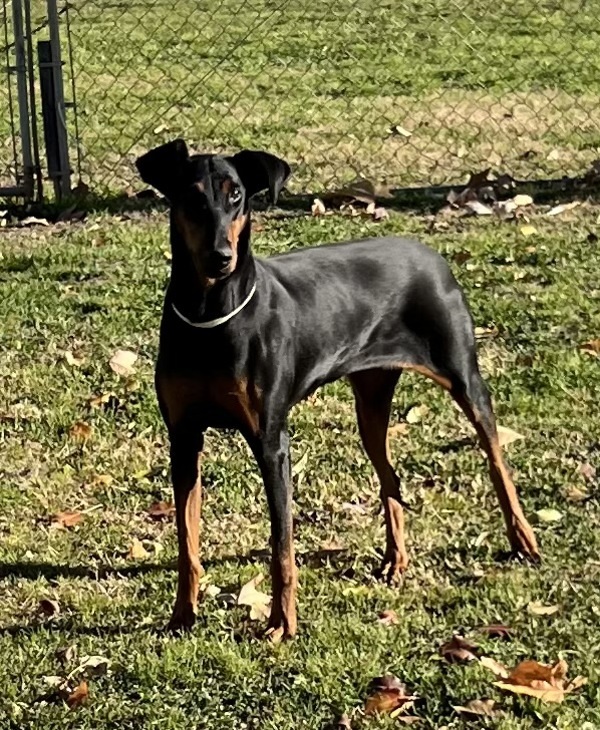 R260489/ Marley