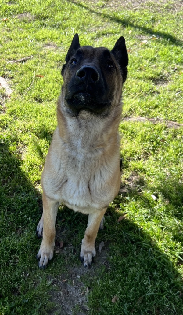 R260474/ Hans