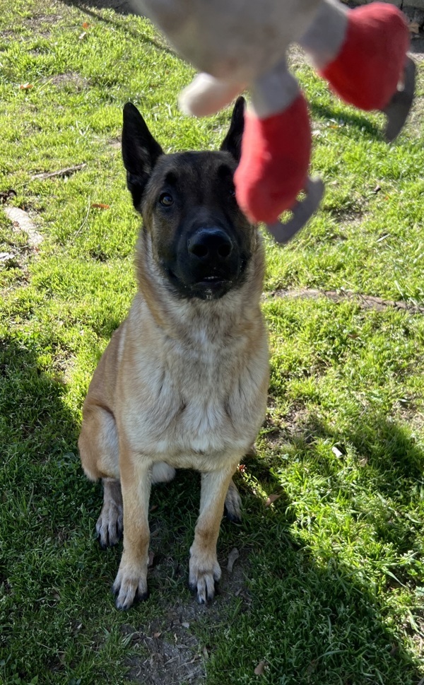 R260474/ Hans