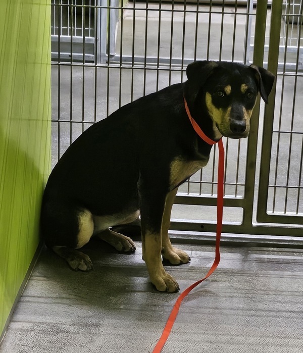 R260872/ Belle