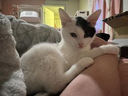 Minnie