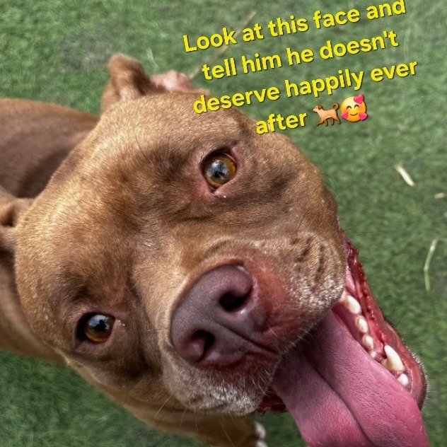 Canelo