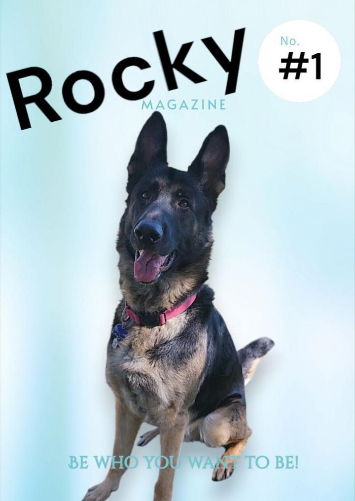 Rocky 2