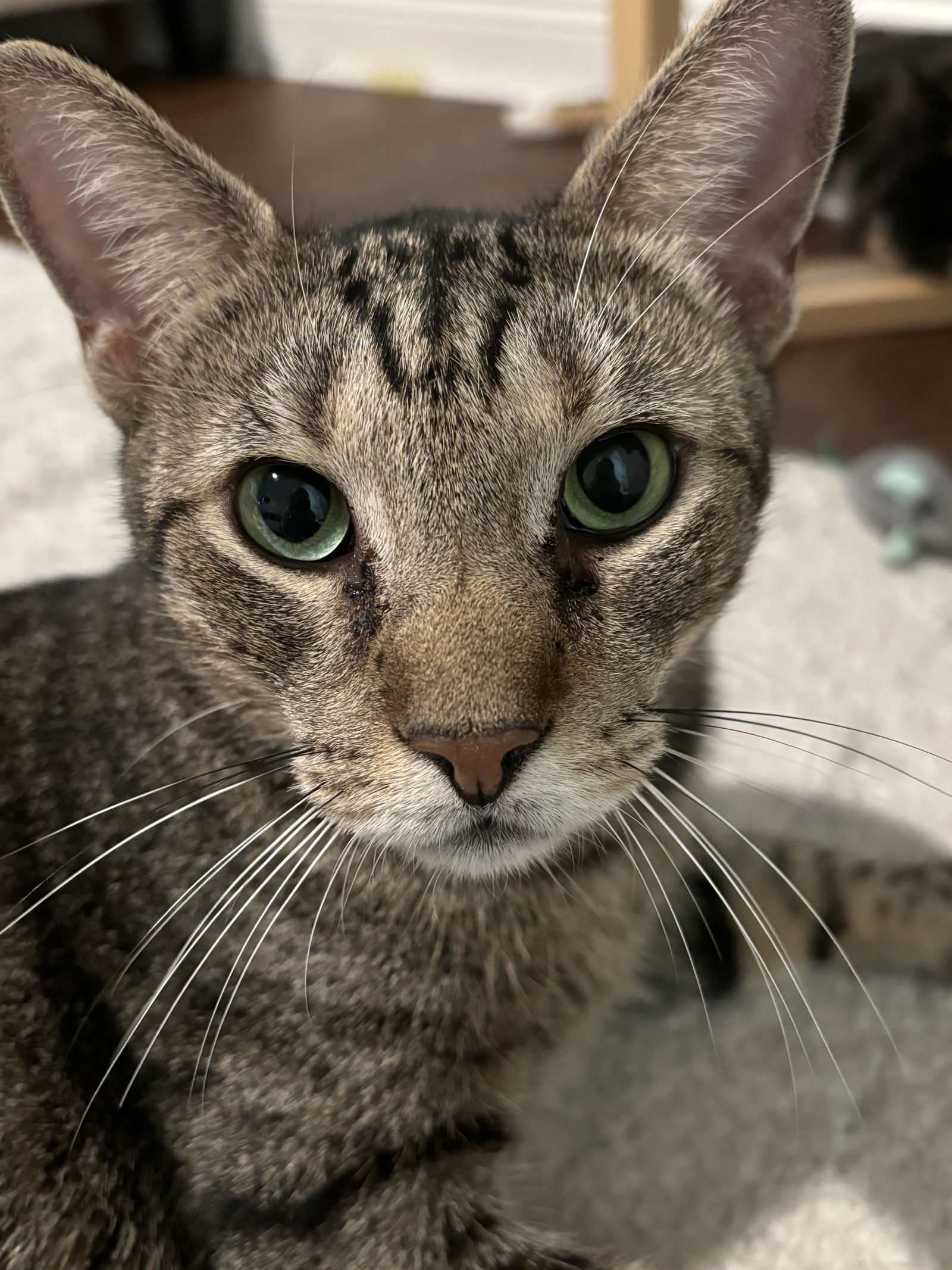 Frank Sinatra