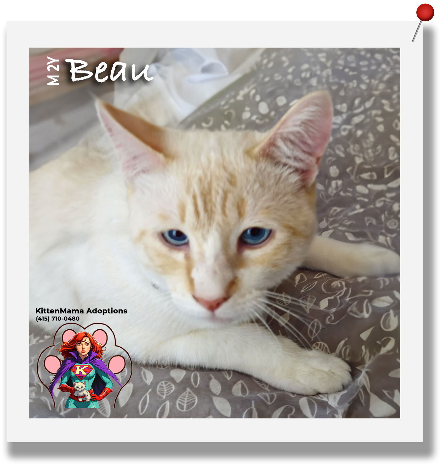 Beau`
