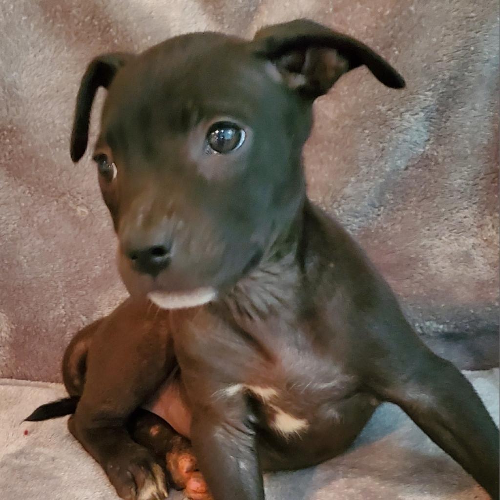 Helene (180 days+)