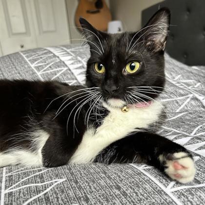 Logan