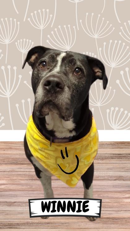 Winnie