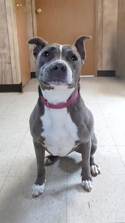 Lola