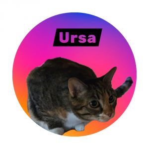 Ursa