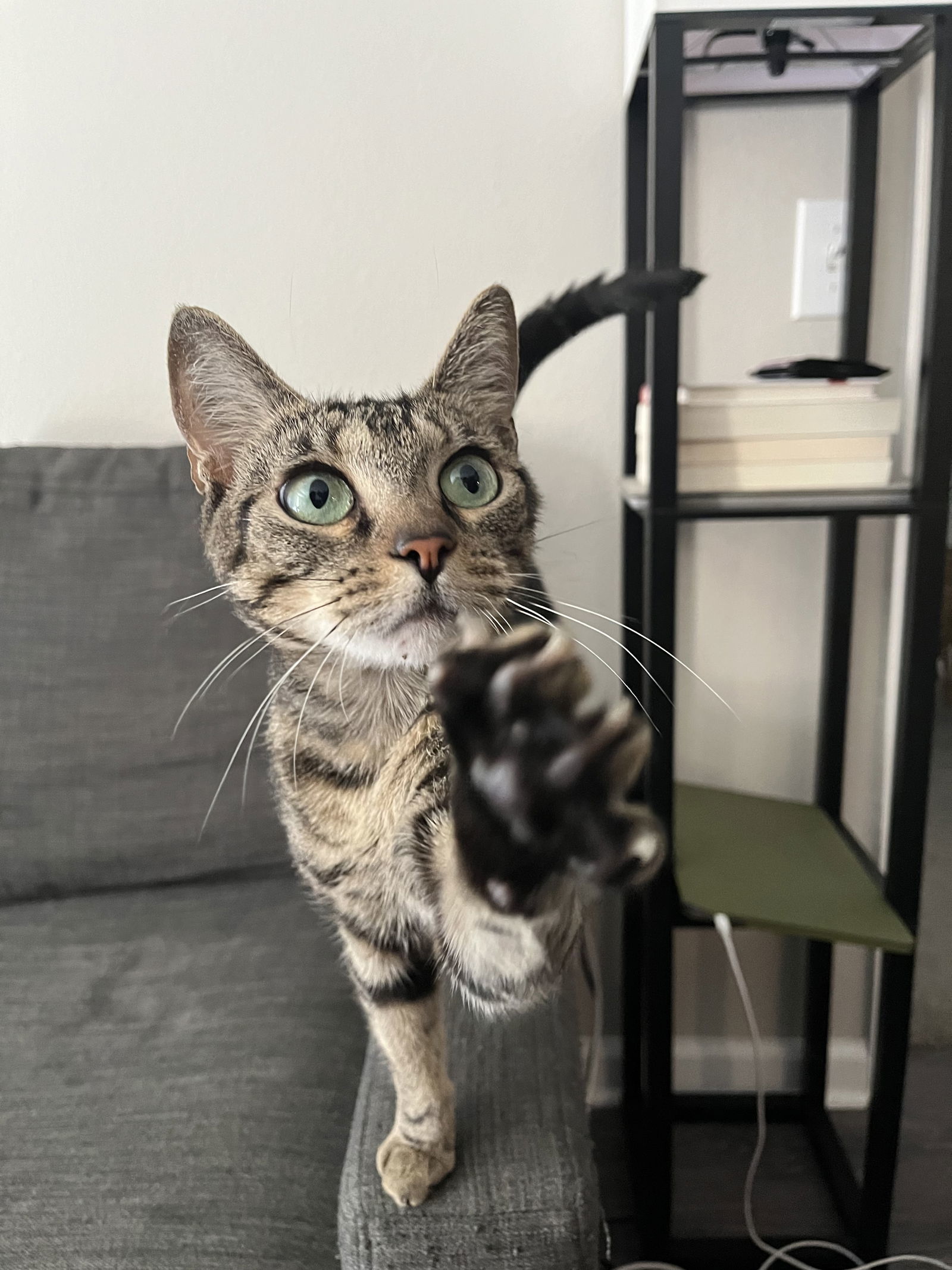 Whiskee