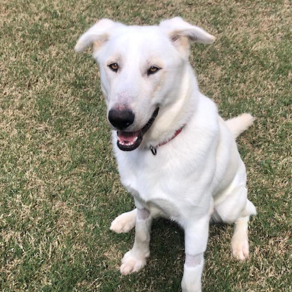 Olaf