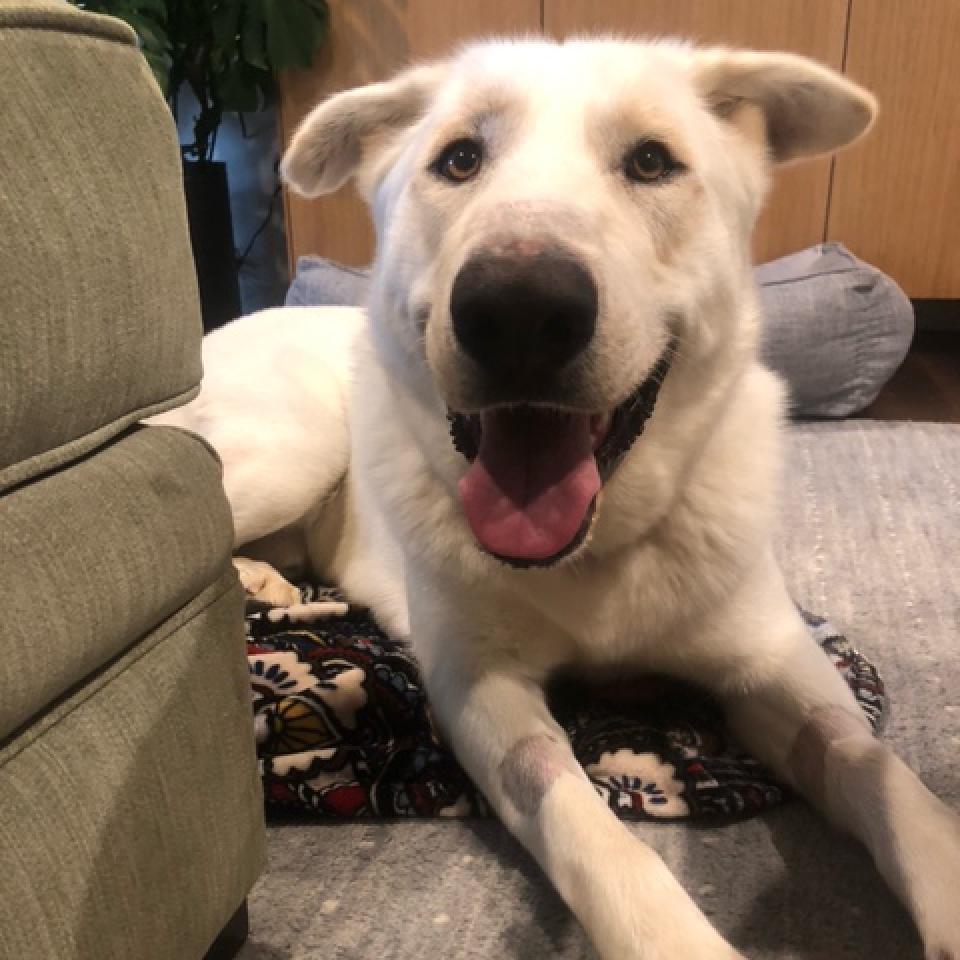 Olaf