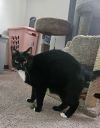 LOUIE photo 2