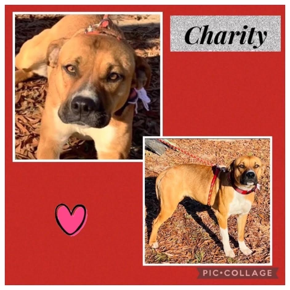 Charity