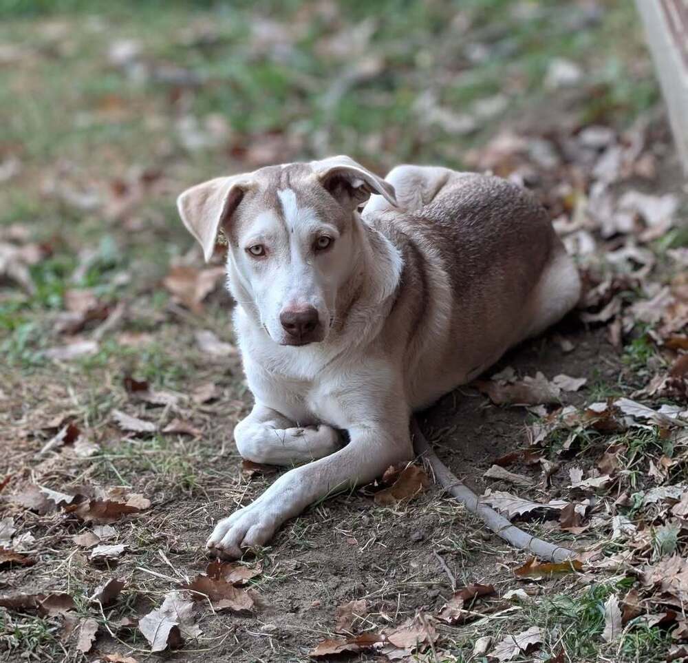 Bella