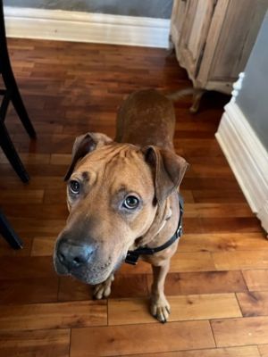 Place your bets now on whos a Good Girl Our staff recently had Bet in a play yard and this