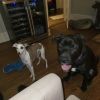 Happy photo 3