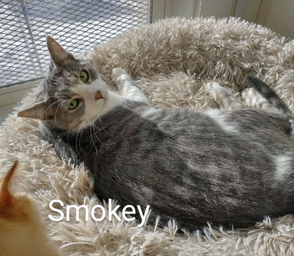 Smokey