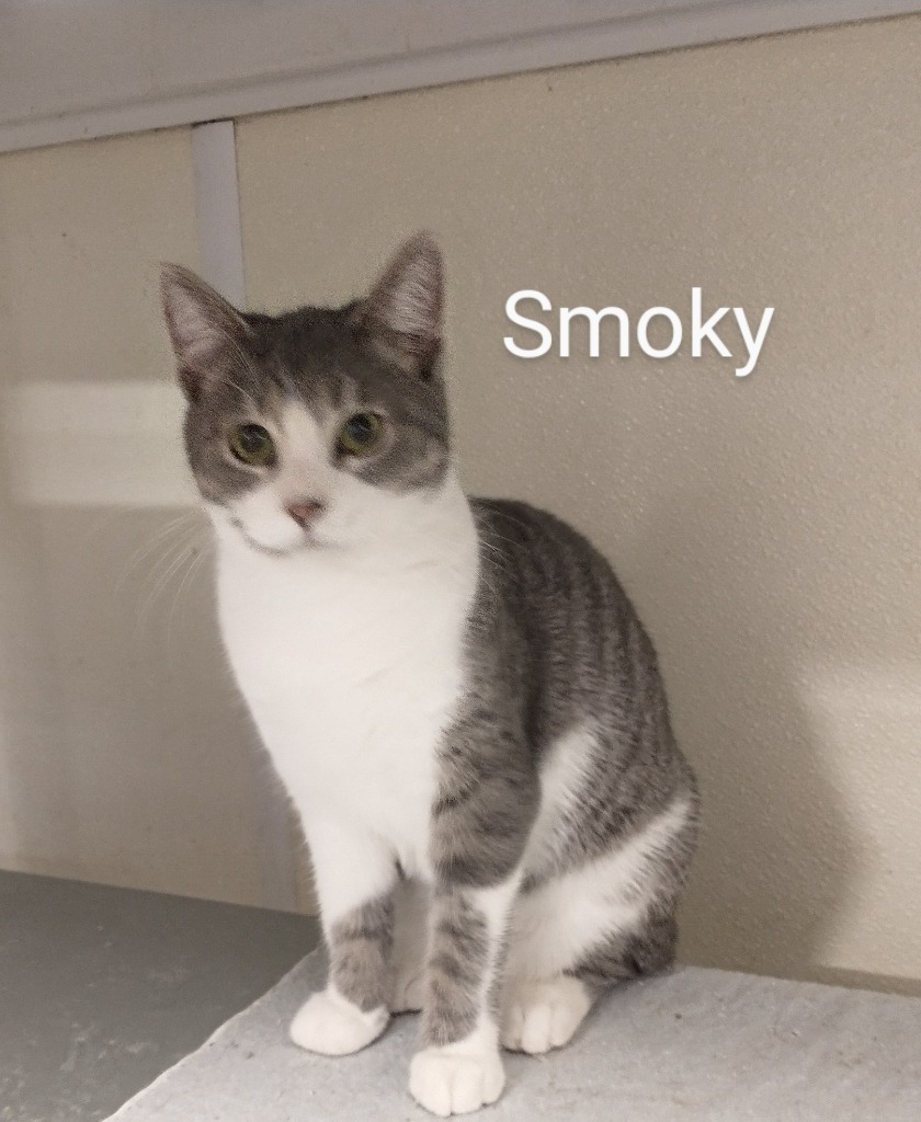 Smokey