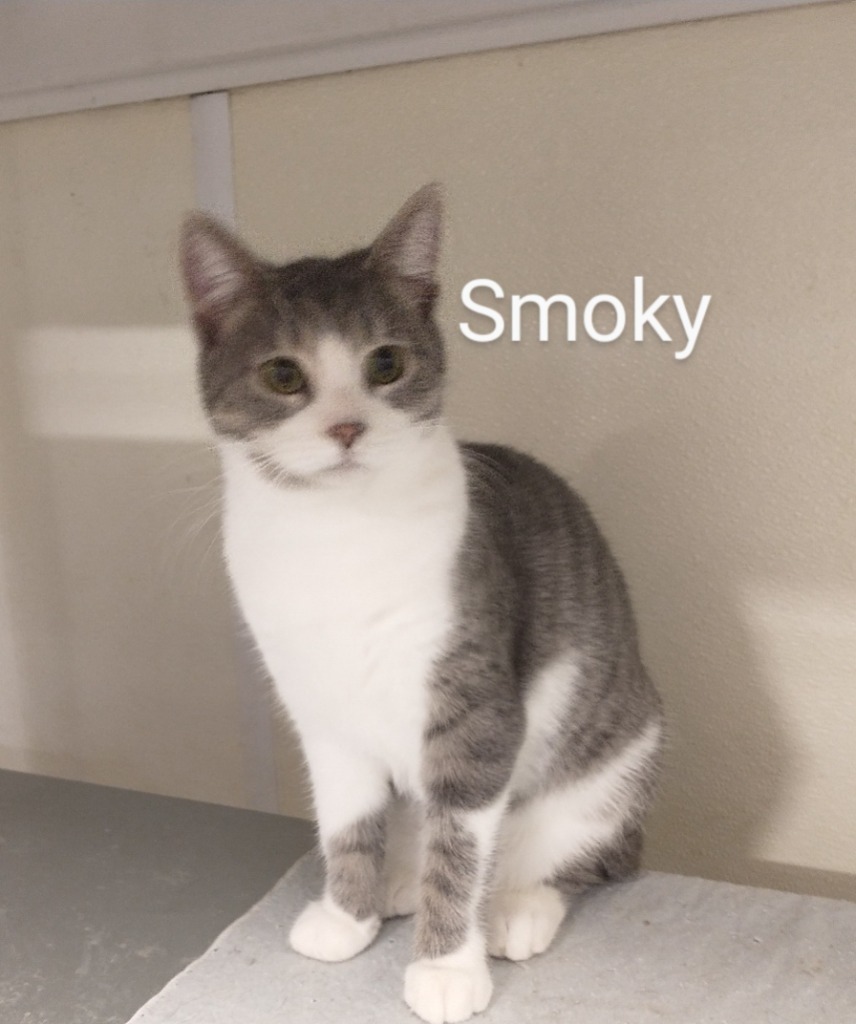Smokey