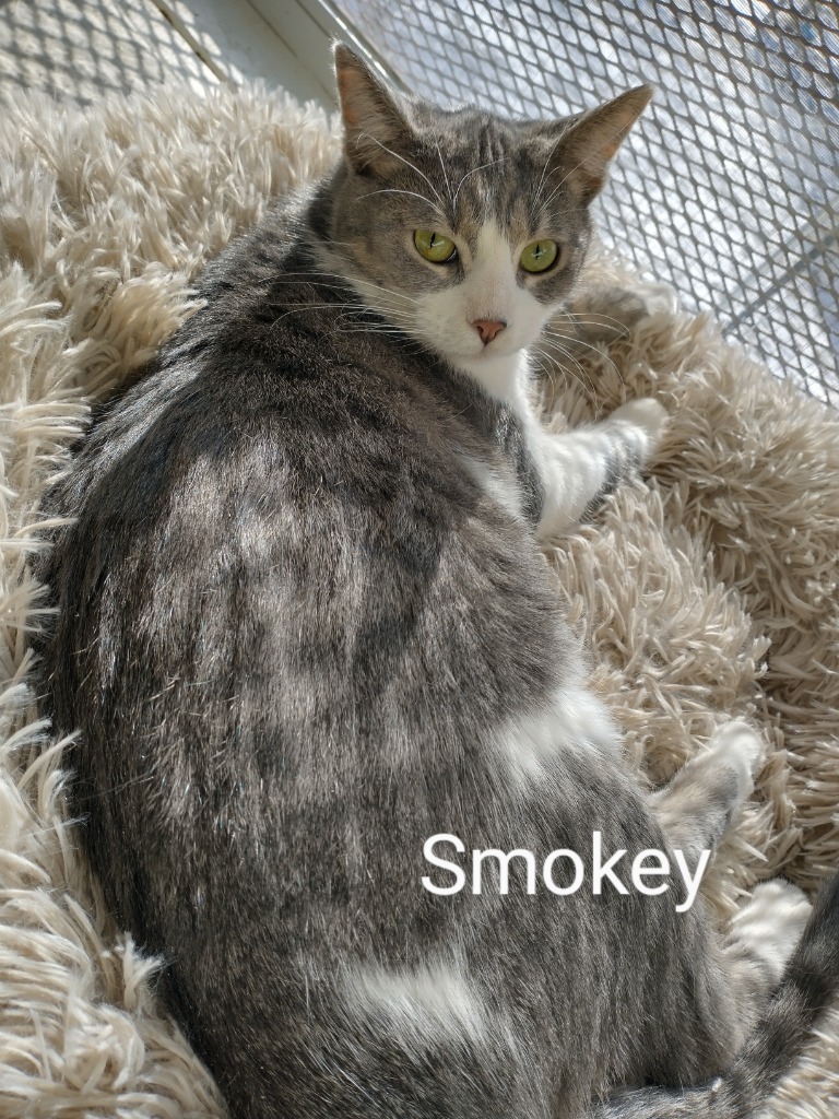 Smokey