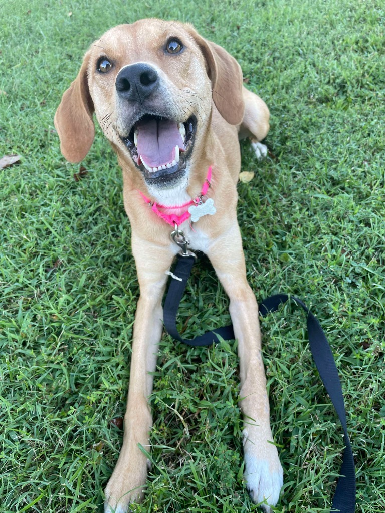 Leia