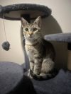 Rhea photo 3