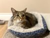 Rhea photo 4