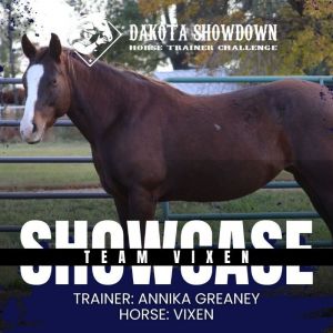 Vixen, Adult Female Quarterhorse