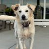 Nula photo 1