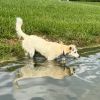 Nula photo 2