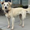Nula photo 3