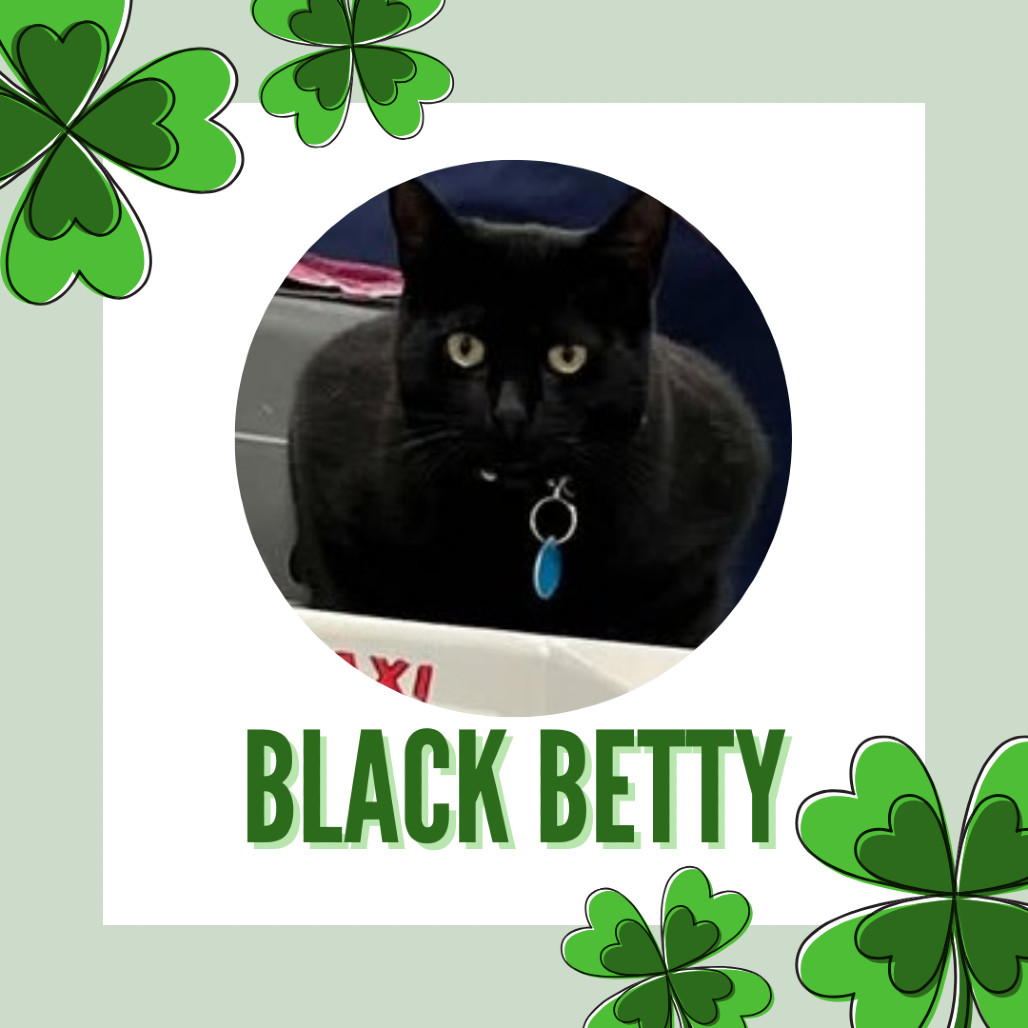 Black Betty