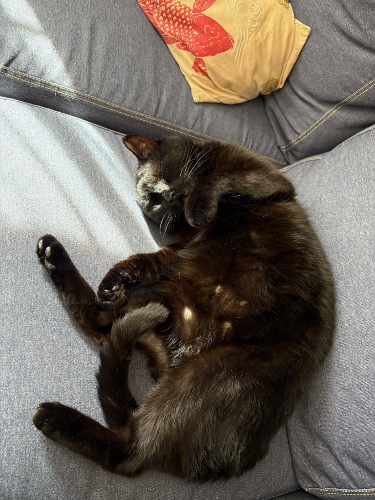 Milo