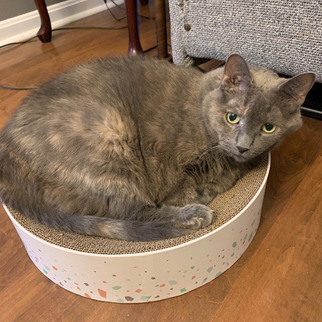 Suzie